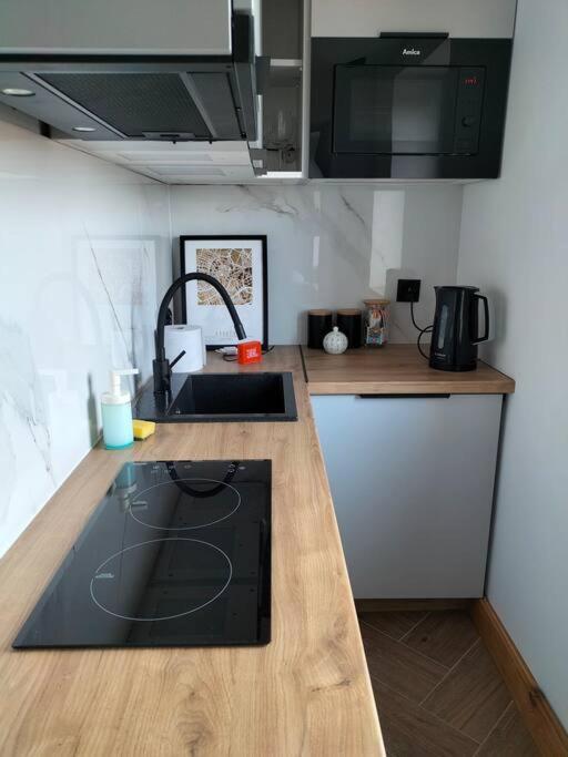 Uroczy Apartament W Centrum Krakowa Eksteriør bilde